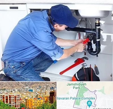 لوله کش در نیاوران