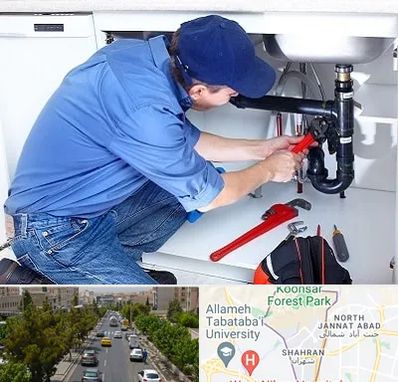 لوله کش در شهران