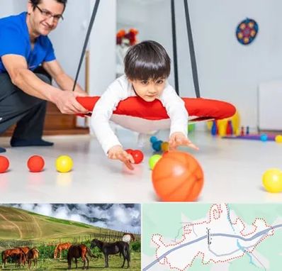 کاردرمانی ذهنی در تالش