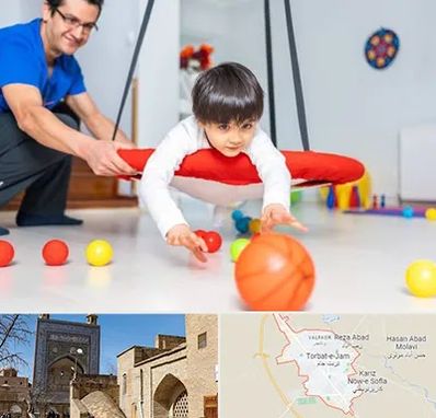 کاردرمانی ذهنی در تربت جام