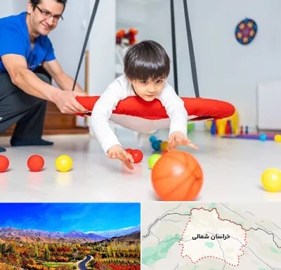 کاردرمانی ذهنی در خراسان شمالی