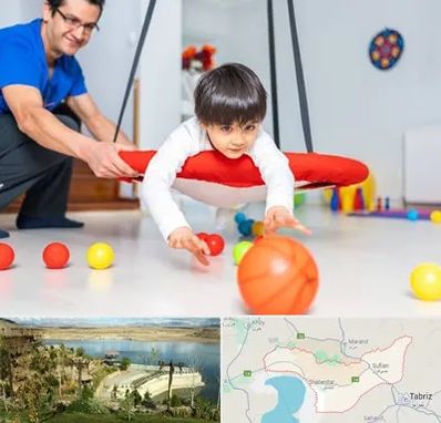 کاردرمانی ذهنی در شبستر