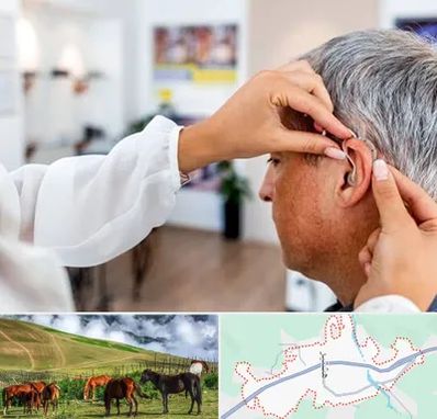 دکتر کم شنوایی در تالش