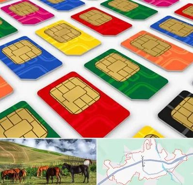 فروش سیم کارت در تالش