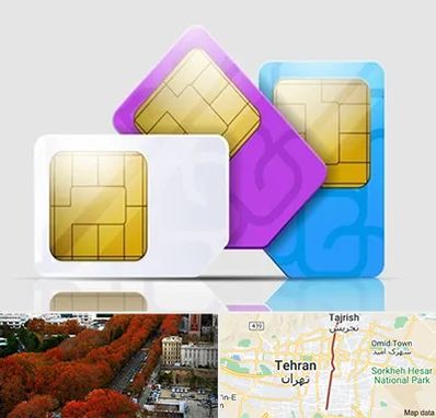 نمایندگی فروش سیم کارت ایرانسل در ولیعصر 