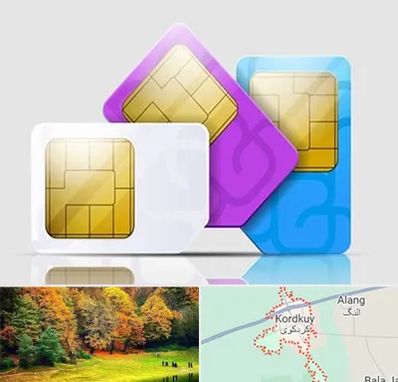 نمایندگی فروش سیم کارت ایرانسل در کردکوی