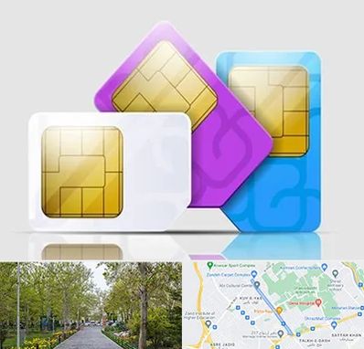 نمایندگی فروش سیم کارت ایرانسل در قدوسی غربی شیراز 