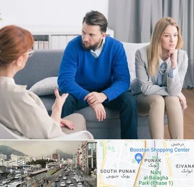 مشاور جنسی در پونک