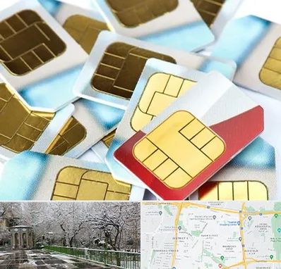 فروش سیم کارت 0912 در باغ فیض 