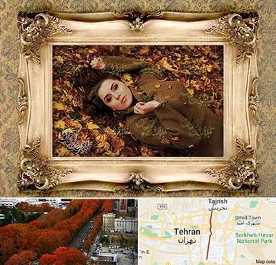 تبدیل عکس به تابلو فرش در ولیعصر 