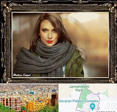 تابلو فرش چهره در نیاوران 