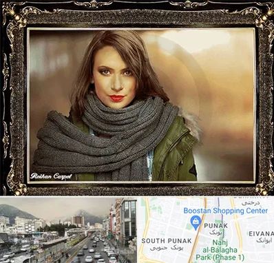 تابلو فرش چهره در پونک 