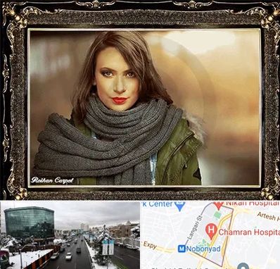 تابلو فرش چهره در اقدسیه 