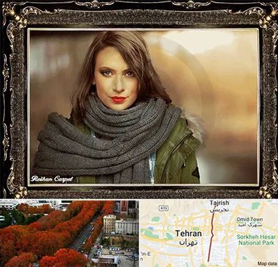 تابلو فرش چهره در ولیعصر 