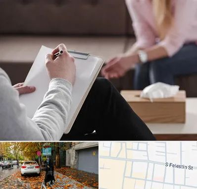 روانشناس جنسی در خیابان فلسطین