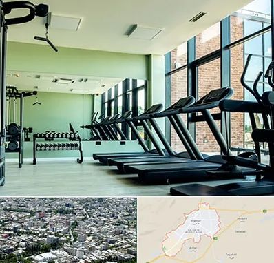 تعمیرکار تردمیل در شاهرود