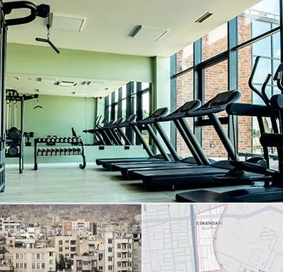 تعمیرکار تردمیل در اسکندری