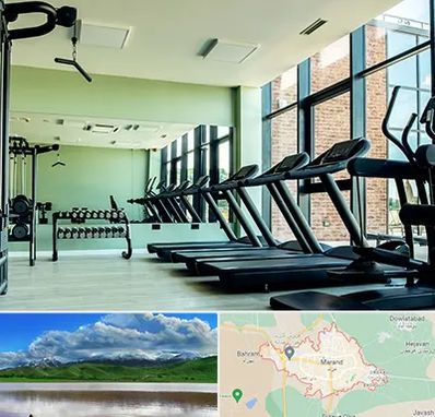 تعمیرکار تردمیل در مرند