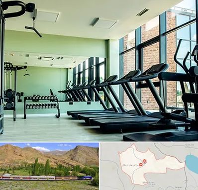 تعمیرکار تردمیل در خاش