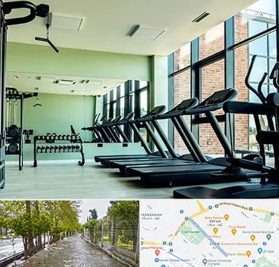 تعمیرکار تردمیل در خیابان ارم شیراز 