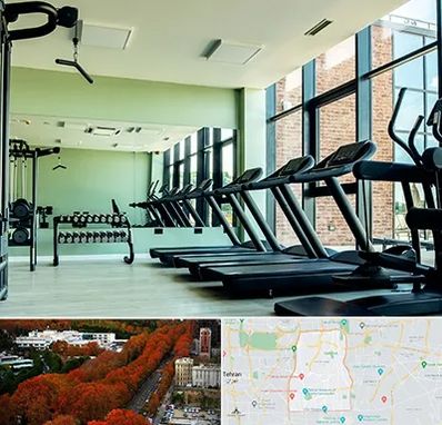 تعمیرکار تردمیل در منطقه 6 تهران 