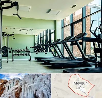 تعمیرکار تردمیل در میگون