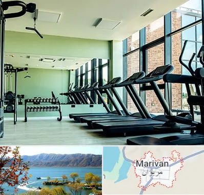 تعمیرکار تردمیل در مریوان