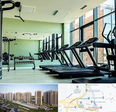 تعمیرکار تردمیل در المپیک