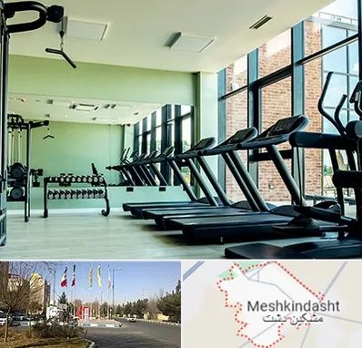 تعمیرکار تردمیل در مشکین دشت