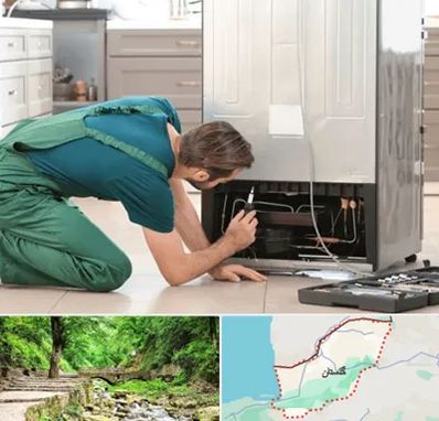 تعمیرکار فریزر در گلستان