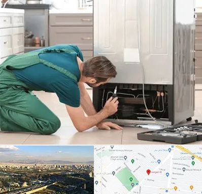 تعمیرکار فریزر در هنگام 