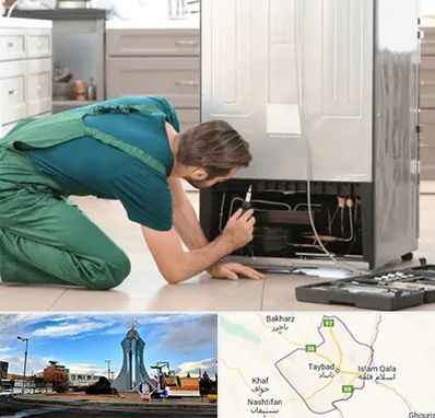 تعمیرکار فریزر در تایباد