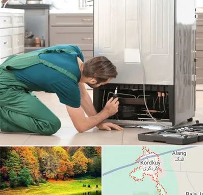 تعمیرکار فریزر در کردکوی