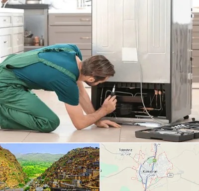 تعمیرکار فریزر در کامیاران