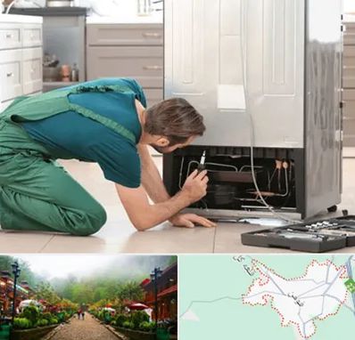 تعمیرکار فریزر در فومن