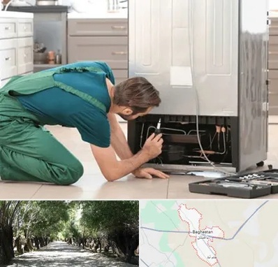 تعمیرکار فریزر در باغستان