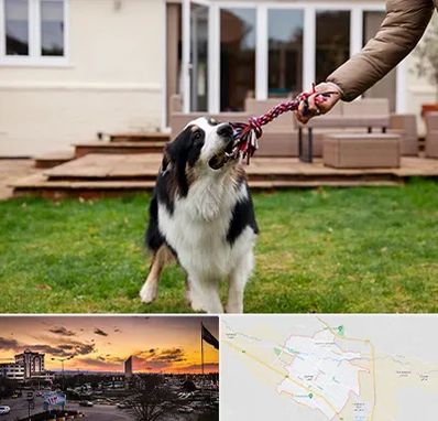 پانسیون سگ در قوچان