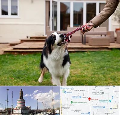 پانسیون سگ در کارگر جنوبی 