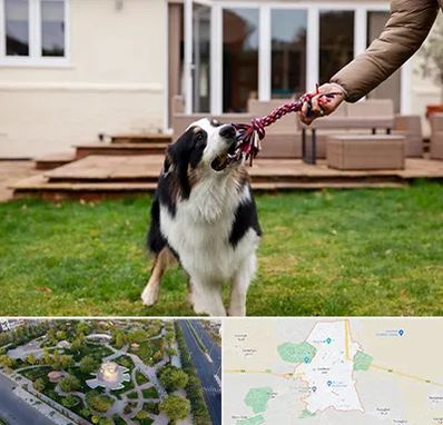 پانسیون سگ در کاشمر