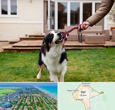 پانسیون سگ در ساری