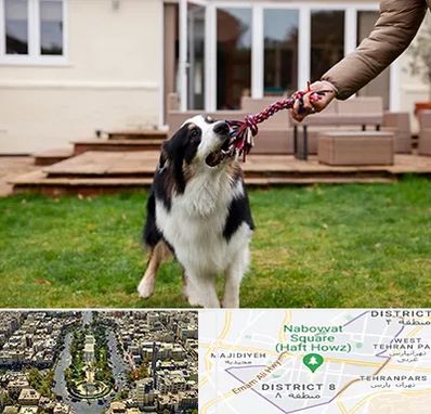 پانسیون سگ در نارمک 