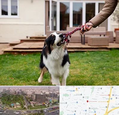 پانسیون سگ در آیت الله کاشانی 