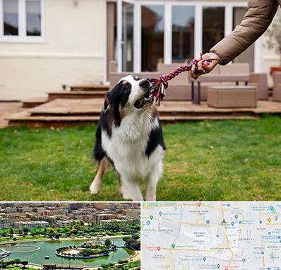 پانسیون سگ در منطقه 9 تهران 