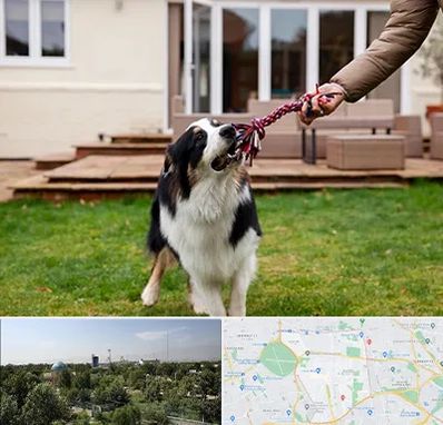 پانسیون سگ در منطقه 16 تهران 