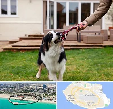 پانسیون سگ در کیش