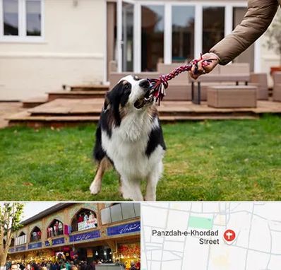 پانسیون سگ در 15 خرداد