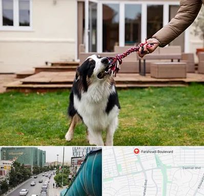 پانسیون سگ در بلوار فرحزادی