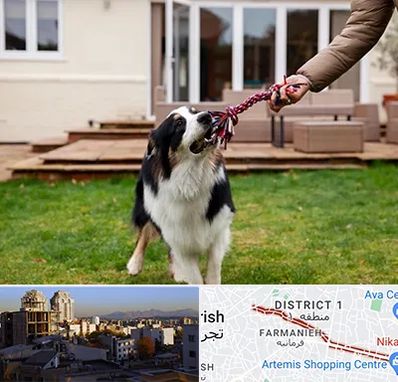 پانسیون سگ در فرمانیه 