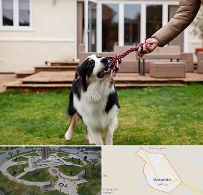 پانسیون سگ در ورامین