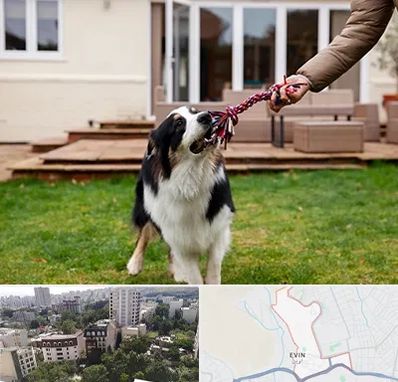 پانسیون سگ در اوین